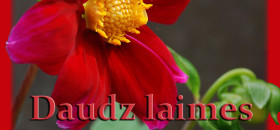 Apsveikuma kartiņa: daudz laimes un bagātīgus vinnestus!
