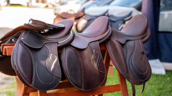 Ministrstvo za izobraževanje in znanost komentira konflikt s Konjeniško zvezo glede baze Kleisti