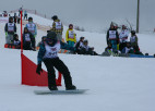 Vītola ieņem 48.vietu PK sacensībās paralēlajā milzu slalomā