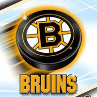 Bruins133