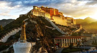 Tibetas gudro padomi