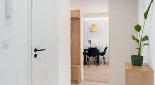 Regulējamās vai klasiskās durvju kārbas – kura izvēle ir labāka?