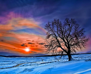 Foto: Fantastiskie ziemas saulrieti 15 fotogrāfijās