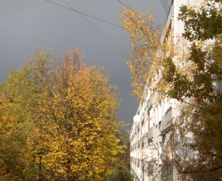 Foto: Pirmais sniegs Rīgā