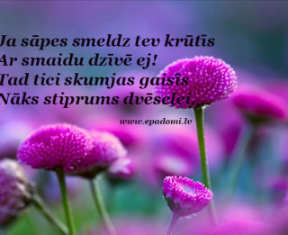 Tava vārda skaidrojums (nozīme) un ietekme uz tavu likteni. 14. oktobris - Minna, Vilhelmīne