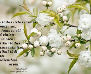Tava vārda skaidrojums (nozīme) un ietekme uz tavu likteni. 5.augusts- Arvils, Osvalds