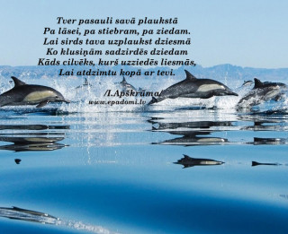 Tava vārda skaidrojums (nozīme) un ietekme uz tavu likteni. 23.augusts- Vitālijs, Ralfs, Valgudis
