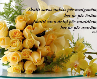 Tava vārda skaidrojums (nozīme) un ietekme uz tavu likteni. 2. novembris - Vivita, Viva, Dzīle