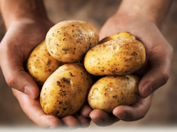 Derīgi padomi, gatavojot kartupeļus