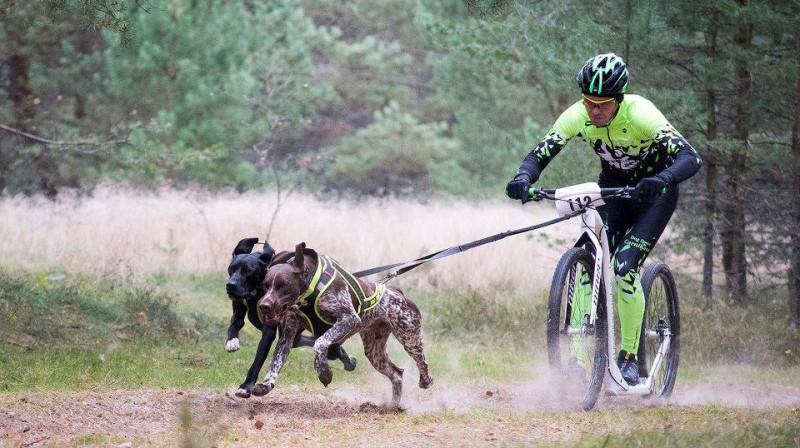 A.Jakobsons - uzvarētājs 2 suņu skūteru Open klasē. Foto:G.Kaucis