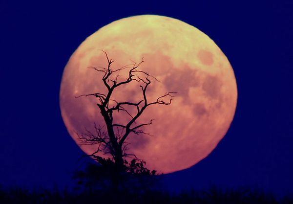 Vai Mēnesi patiešām apsaimnieko saprātīgas būtnes?