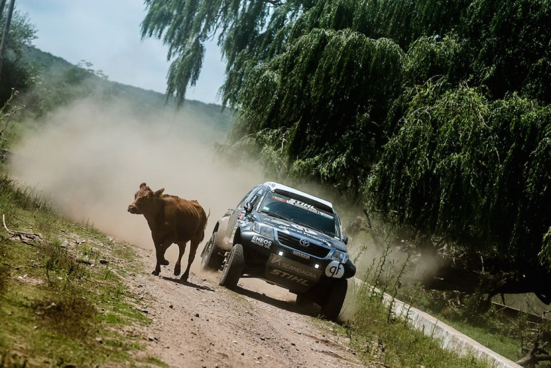 Dakaras rallija trešajā posmā atkal uzvar Lēbs, lietuvietis notriec govi