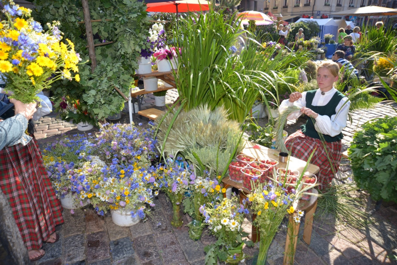 Aicina uz tradicionālo Zāļu tirgu Domu laukumā (+VIDEO)